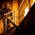 Dinas Damkar Rejang Lebong Evakuasi Di Sekolah Di Area Pertanian